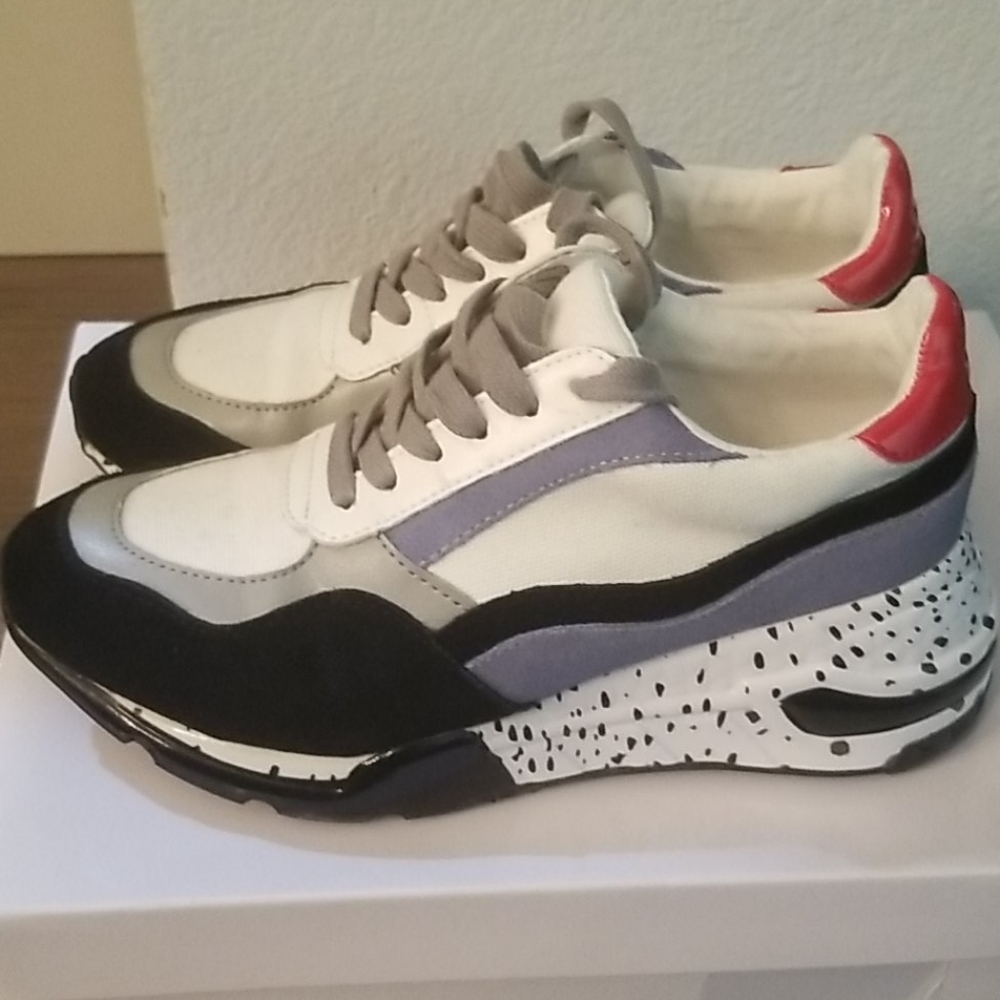 Steve Madden Blazer Sneaker